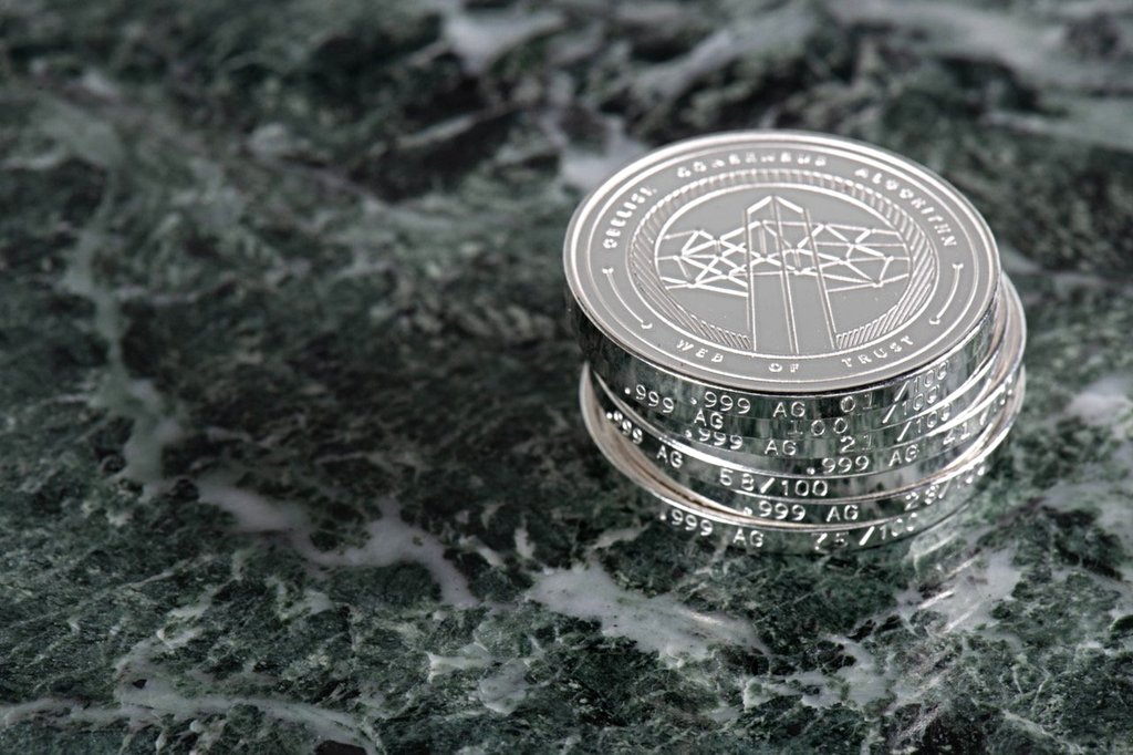 Skywing Commander - One Pure Silver (99.9%) Skycoin Collectable coin - Skycoin Collectable Coins