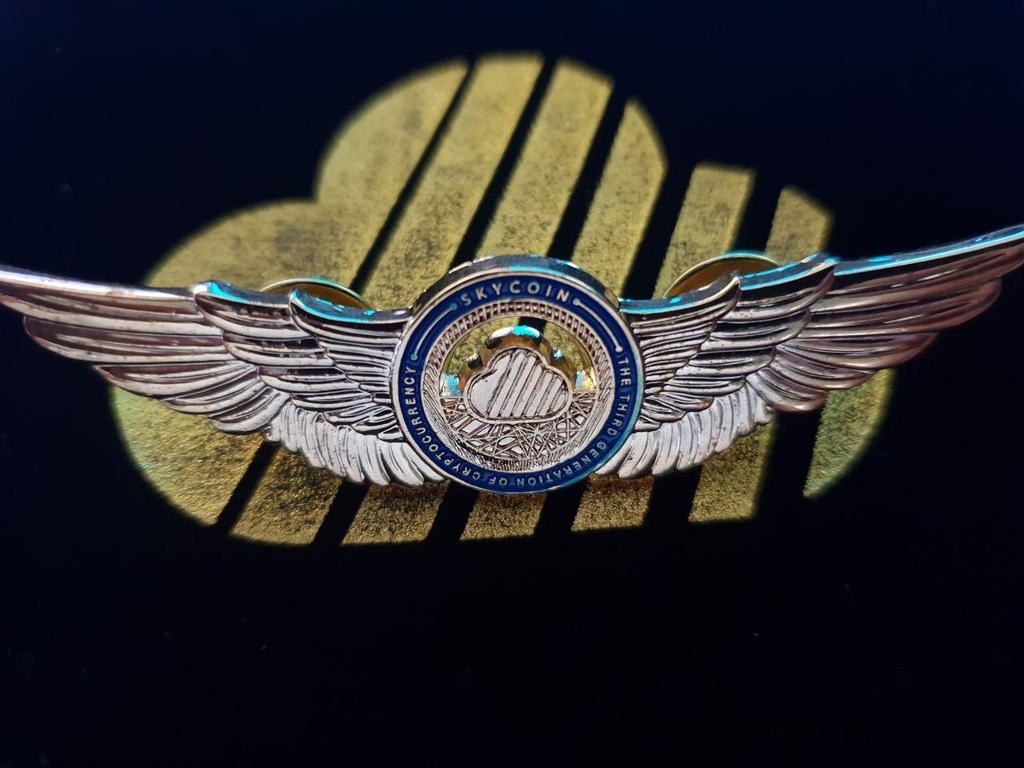Skyfleet Badge - Skycoin Collectable Coins