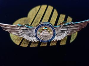 Skyfleet Badge - Skycoin Collectable Coins