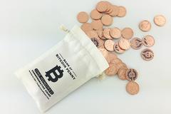 2018 Bitcoin Penny™ Canvas Bank Bag