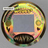 waves ico coin